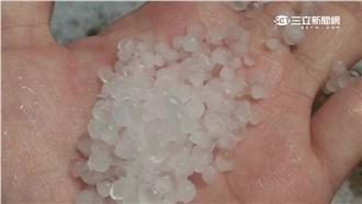 天上落下「冰珍珠」　合歡山遊客嗨翻