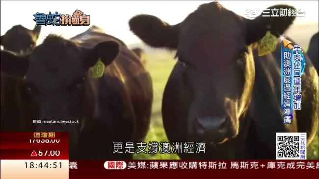 轉型消費經濟！澳洲積極創造自貿紅利