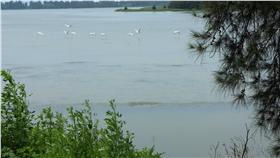 金門慈湖（圖／翻攝自金門慈湖臉書）