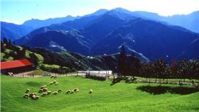 清境農場（圖／翻攝自中華民國觀光局網站）