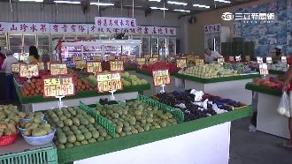 受寒害影響　土芒果、玉荷包恐買不到