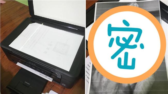 圖／貓咪上了影印機　ㄋㄟㄋㄟ全都露
