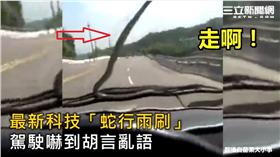 蛇,雨刷,擋風玻璃,崩潰,駕駛