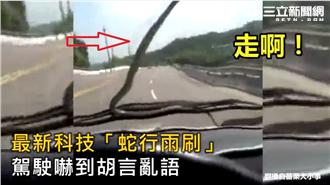 嚇瘋！驚險「蛇」雨刷　崩潰駕駛笑翻