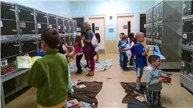 收容所,貓,狗,https://www.thedodo.com/field-trip-reading-shelter-pets-1779162973.html