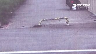 車道ㄇ型桿惹禍　騎士撞攤獲賠千萬