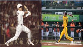 ▲和田豐與張志豪（組圖／翻攝自產經新聞）