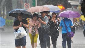 TD
午後大雷雨（2）
台北市8日下午2時左右雷聲隆隆，下起大雷雨。中央氣
象局也發布天氣警訊，表示因午後對流雲系發展旺盛，
呼籲應注意雷擊、強陣風及瞬間大雨。
中央社記者孫仲達攝　105年5月8日