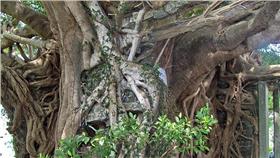 樹屋（圖／攝影者Stewart C, Flickr CC License）
https://www.flickr.com/photos/stewartcc/1500990045/in/photolist-3hCY3H-pCb1qu-3i95aQ-buYCBc-3i8X4U-8b5LET-pSpECN-pUvd2r-6iPNd6-cgw8aJ-3i8EZb-cgwZWQ-9a5UYQ-9a2PSM-86PCDj-3i8QZE-6iPDtD-8Gnhao-6iPNFe-cgwJHf-cgwDeW-5WQk2F-cgvVRw-cgwYMq-cgwGe5-pC5yT6-3i4G3a-3hCZZc-7b4Jj6-cgwBLU-cgw1s7-cgwSEC-cgw2fC-pC5Au2-86Lo8D-3i8SxG-9a5QH7-cgwepf-7TfhTd-86PAL1-6iPBaR-cgwWHq-cgwUi9-7b8wDE-79VJtB-3i8VmG-993ypT-996FG9-pC8X9R-6iPM6F