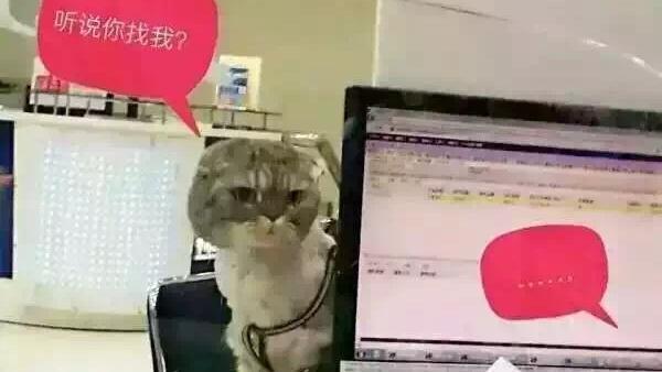啥？沒帶「貓」不能退租網路