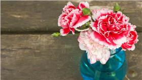 康乃馨,花瓶 （圖／shutterstock／達志影像）