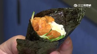 濫捕過度　澎湖海膽恐絕跡