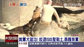 美軍犬退IS 1800