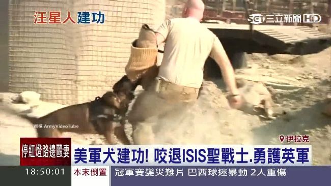 美軍犬成反恐利器　奮勇咬退IS戰士