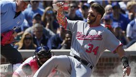 美國職棒強打哈波_美聯社