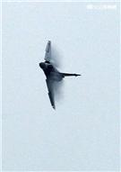 空軍幻象2000-5型戰機是大型三角翼、無尾翼、單發動機構型的軍用飛機， 主武器是固定2門30mm機關炮和9個掛載武器硬點，硬點上可以裝載的除了4發空對空飛彈以外，通常是炸彈、空對地飛彈或是空對艦飛彈等。（記者邱榮吉/攝影）