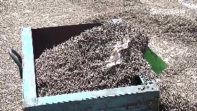 f螺絲掉滿地2400.