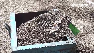 卡車駕駛閃車急轉　馬路成「螺絲海」