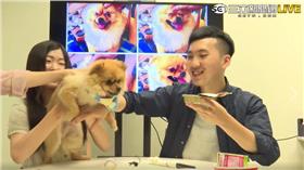 愛上毛們破萬直播
https://www.facebook.com/WeLoveMao/