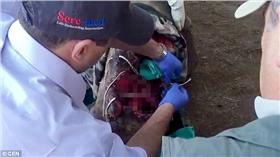 犀牛,南非,野生動物園,圖／每日郵報