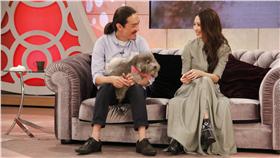 戴佩妮／中天提供