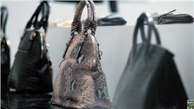 亞洲善待動物組織呼籲民眾不要用真皮製品／翻攝自ThePETAAsiaPacific YouTube