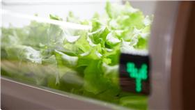 智慧溫室／翻攝自foop官網