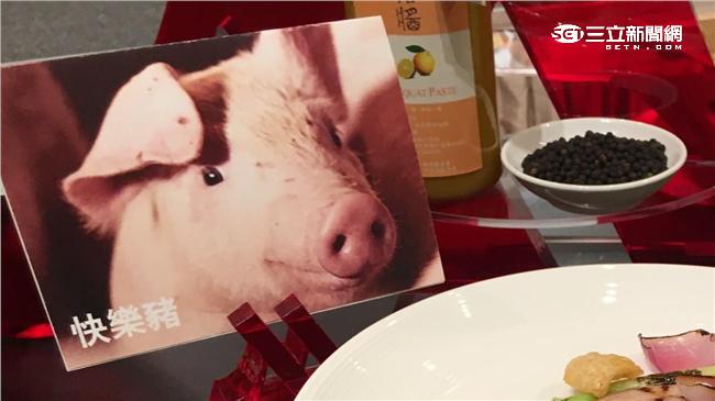 捨得吃嗎？小英親餵快樂豬也成國宴菜