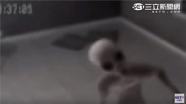 天使？蟻人？外星人長相　超乎你想像