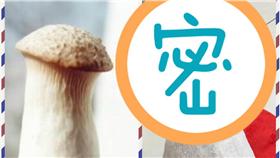 貓咪剪完毛像杏鮑菇
https://www.facebook.com/groups/Crazymomi/permalink/1283404671679049/