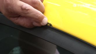 烤漆竟一摳就掉　車主怒轟技術世界爛