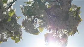 大太陽／https://www.flickr.com/photos/12844498@N06/4546735197