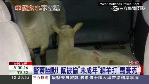 英國警察好幽默! 幫被偷綿羊打"馬賽克"