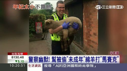 英國警察好幽默! 幫被偷綿羊打"馬賽克"