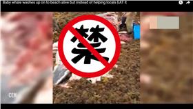  座頭鯨,擱淺,海灘(YouTube https://www.youtube.com/watch?v=MKpFde8vxdU)