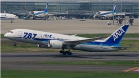 ANA 787-8客機。（圖／翻攝自維基百科）