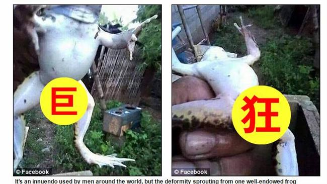 巨無霸「陽具」現蹤！眾男性低頭想哭