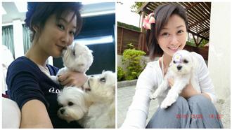陳珮騏愛犬病逝　心痛叮嚀：跟聖母走