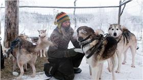 ▲女子與85隻哈士奇生活。（圖／翻攝自《每日郵報》）
http://www.dailymail.co.uk/travel/travel_news/article-3584673/The-call-wild-Meet-dog-whisperer-traded-city-life-Lapland-s-wilderness-lives-85-huskies-no-electricity-running-water.html