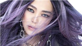 張惠妹／環球提供