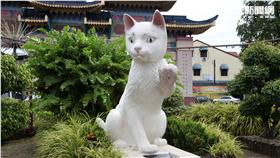 馬來西亞古晉（Kuching）貓城。（圖／記者簡佑庭攝影）