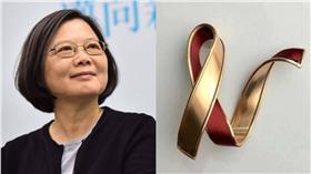 禮賓,胸針,蔡英文 圖/翻攝自蔡英文臉書