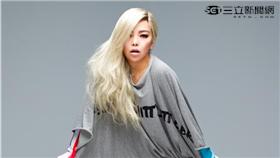 張惠妹跨年演唱開趴／資料照