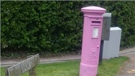 ▲圖／翻攝自鏡報推特