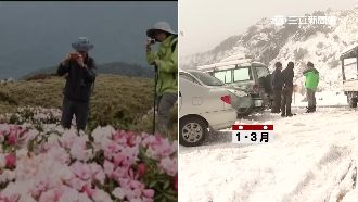 你也遇過嗎？合歡山必塞超窄3路段