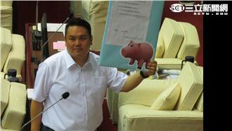 美豬進口與否　藍逼柯文哲議會表態