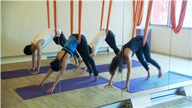 小鐘、五熊、鮪魚挑戰空中瑜珈