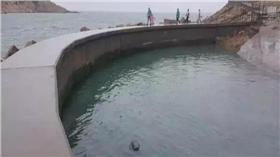 海象　圖／鳳凰網