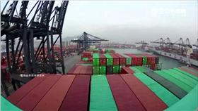 航運,海洋科系,海運,