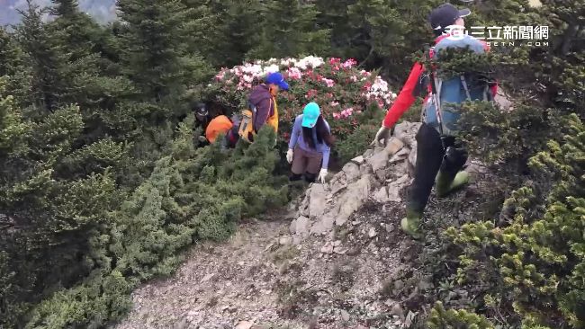 登合歡群峰賞花　3人迷路整夜幸獲救